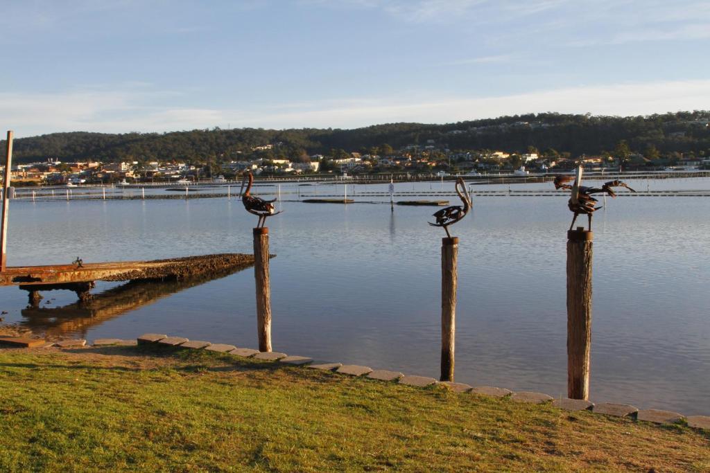 Sails Luxury Apartments Merimbula Buitenkant foto